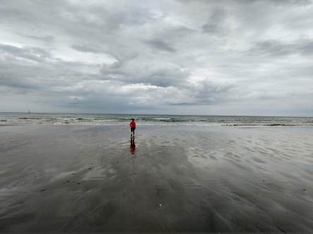 IMG_20190609_111757354_HDR