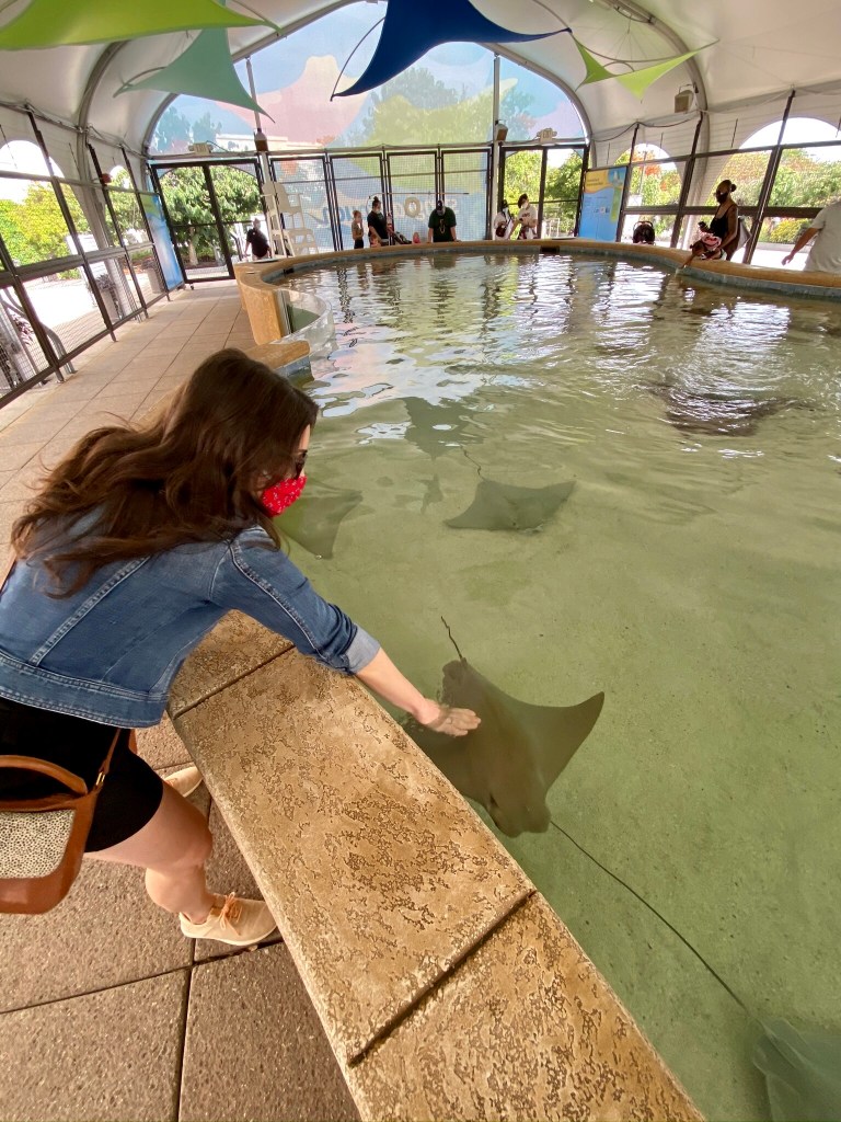 The Stingray Touch pool